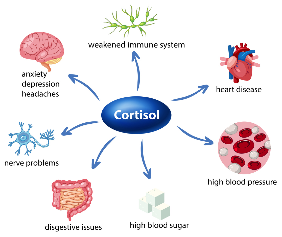 balance cortisol levels naturally